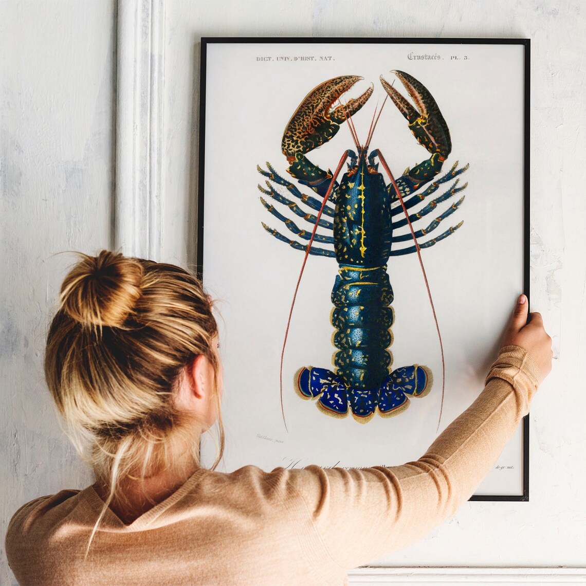 Crawfish Antique Print Illustration, Vintage Fish Poster - Image 3
