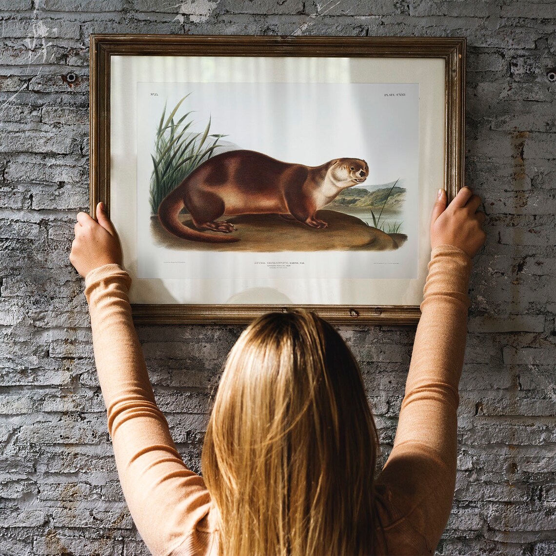 Otter Antique Animal Painting Vintage Drawing Art Print - Image 2