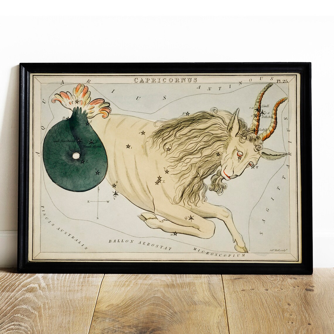 Capricornus Antique Space Painting Zodiac Art Print
