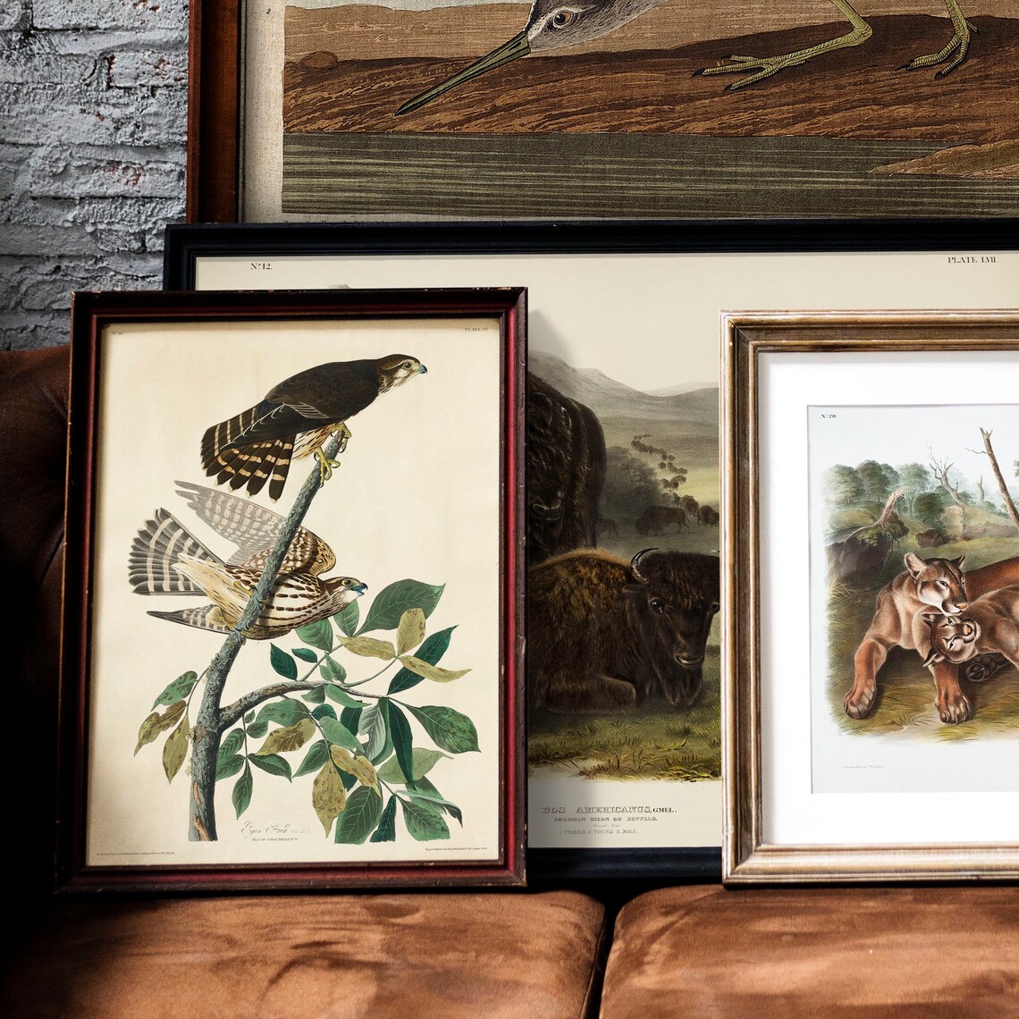 Hawk Antique Bird Painting Vintage Drawing Poster - Image 2