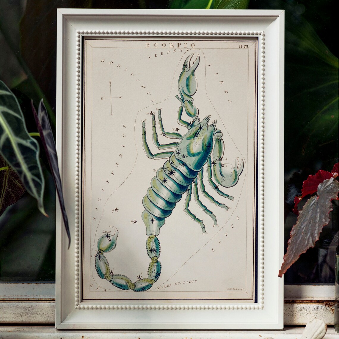 Scorpio Antique Space Painting Vintage Art Print - Image 2