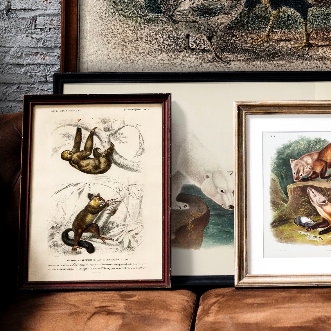 Sloth Antique Animal Painting Vintage Drawing Art Print - Image 2