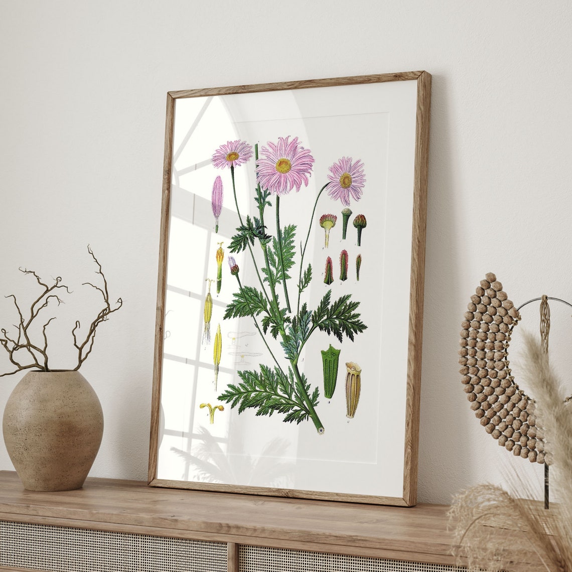 Vintage Pink Aster Daisy Botanical Study Floral Diagram Poster - Image 4