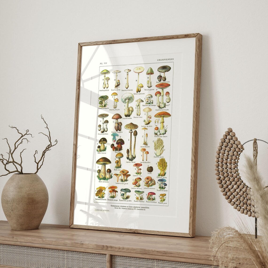 Vintage Botanical Mushroom Art, Kitchen Decor Print - Image 4