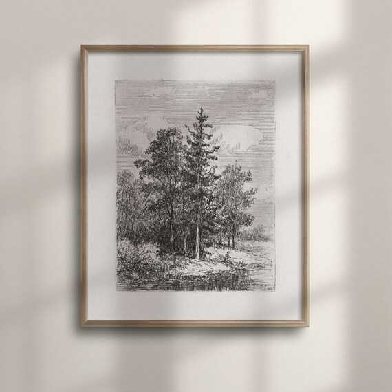 Antique Etching of Pine Trees by Water Vintage Forest Engraving Poster