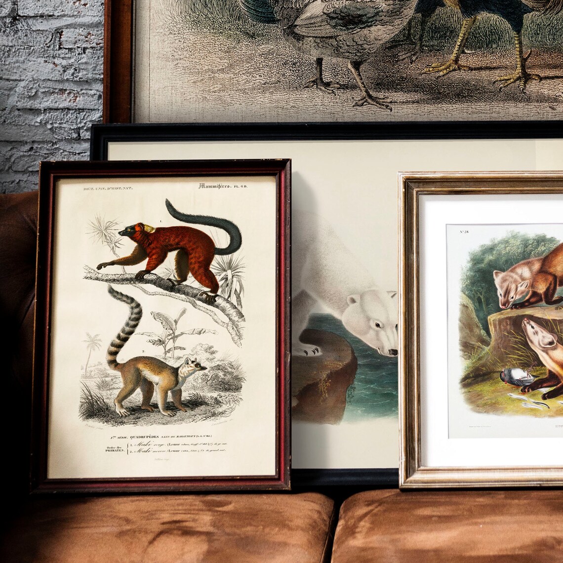 Lemur Antique Animal Painting, Vintage Rustic Zoology Art - Image 2