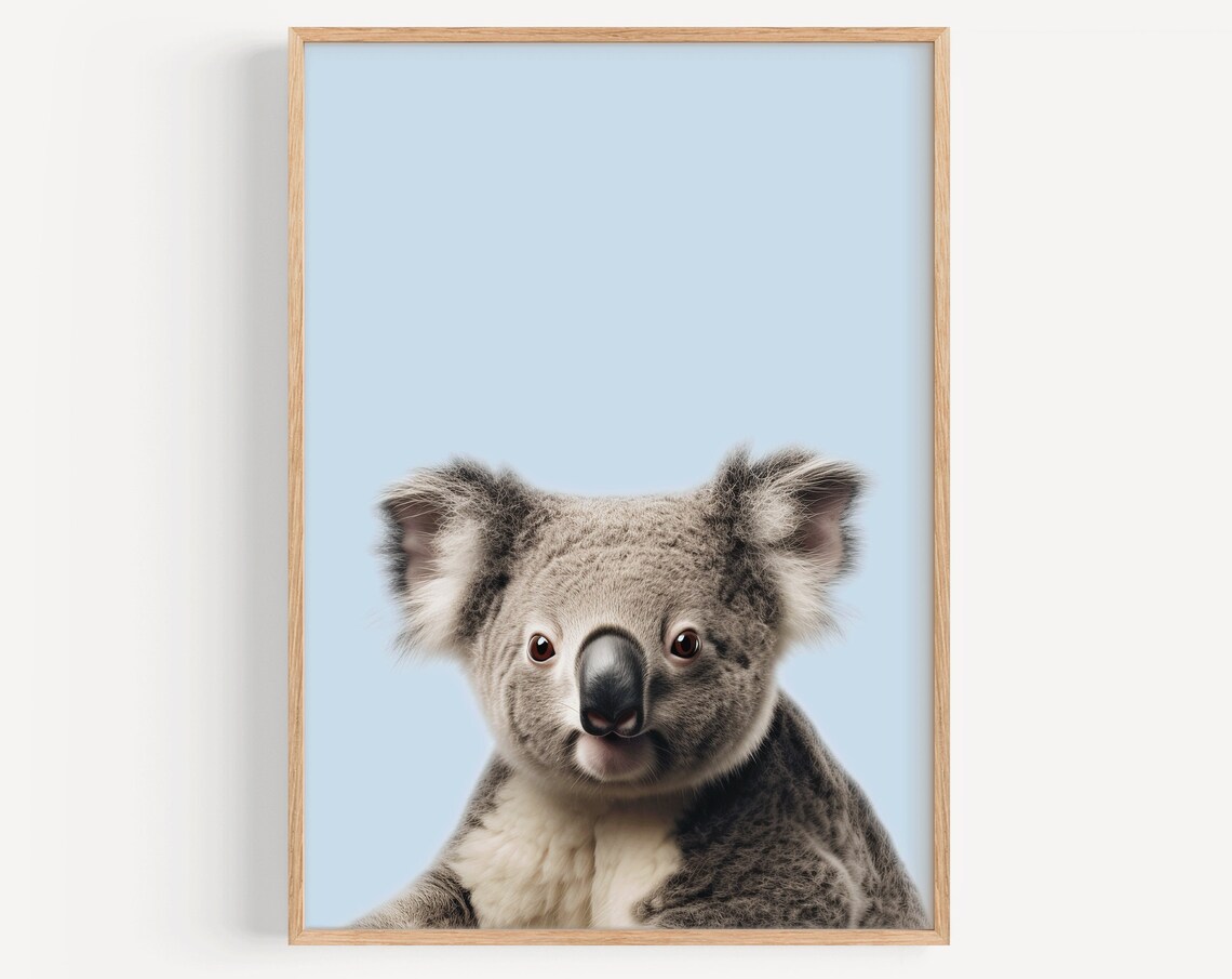 Koala Portrait Close-Up on Pale Blue Photorealistic Animal Poster