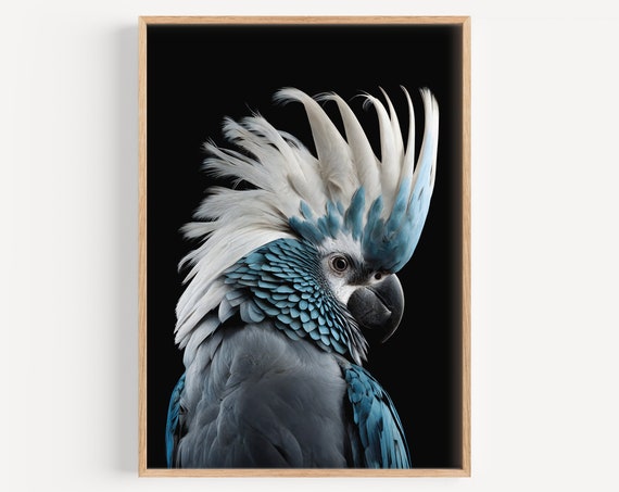 Black and Blue Cockatoo Art Print, Australian Birds