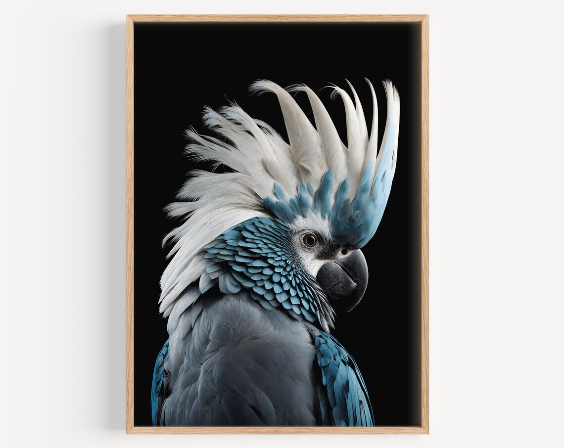 Black and Blue Cockatoo Art Print, Australian Birds