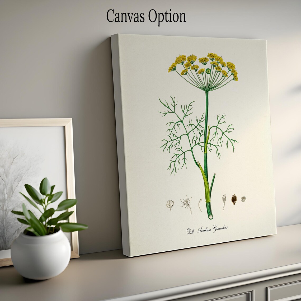 Dill Botanical Art Print, Herb Kitchen Wall Art - Image 2