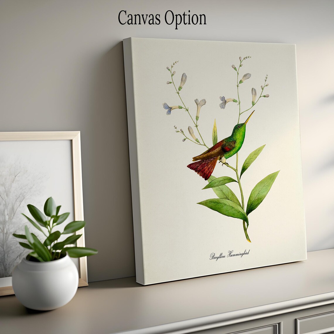 Berylline Hummingbird Art Print, Floral Garden - Image 2