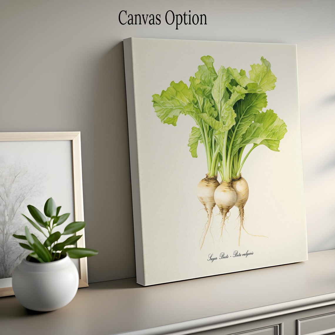 Sugar Beets Botanical Art Print, Garden Decor - Image 2