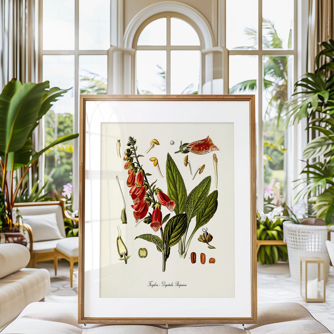Foxglove Botanical Art Print, Digitalis Purpurea - Image 3