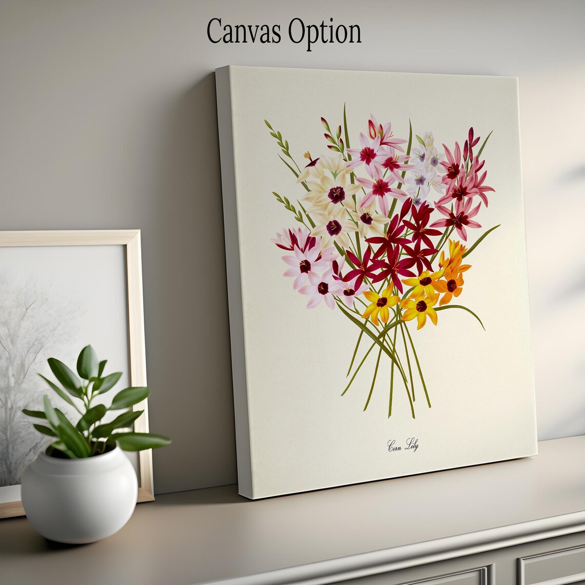 Corn Lily Botanical Flower Art Print, Floral Wall Art - Image 2