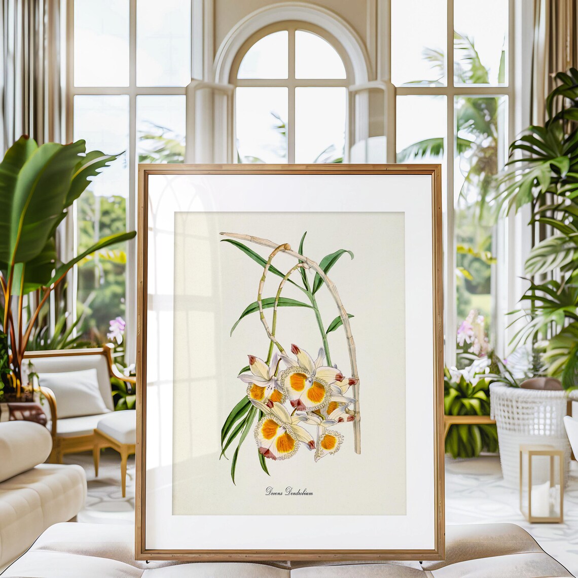 Devons Dendrobium Orchid Botanical Floral Art Print - Image 3