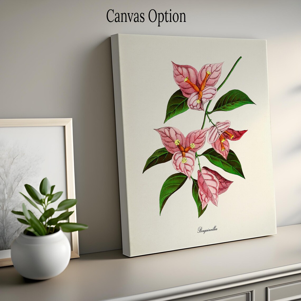 Bougainvillea Flower Botanical Wall Art Print - Image 2