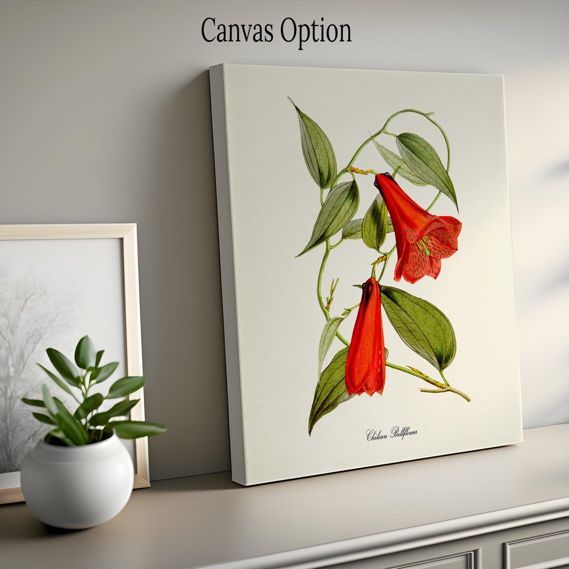 Chilean Bellflower, Copihue Chile Botanical Art Print - Image 2