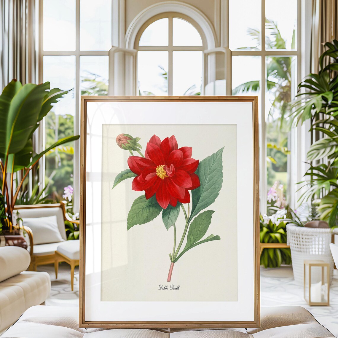 Dahlia Botanical Print, Redoute Botanical Art - Image 3