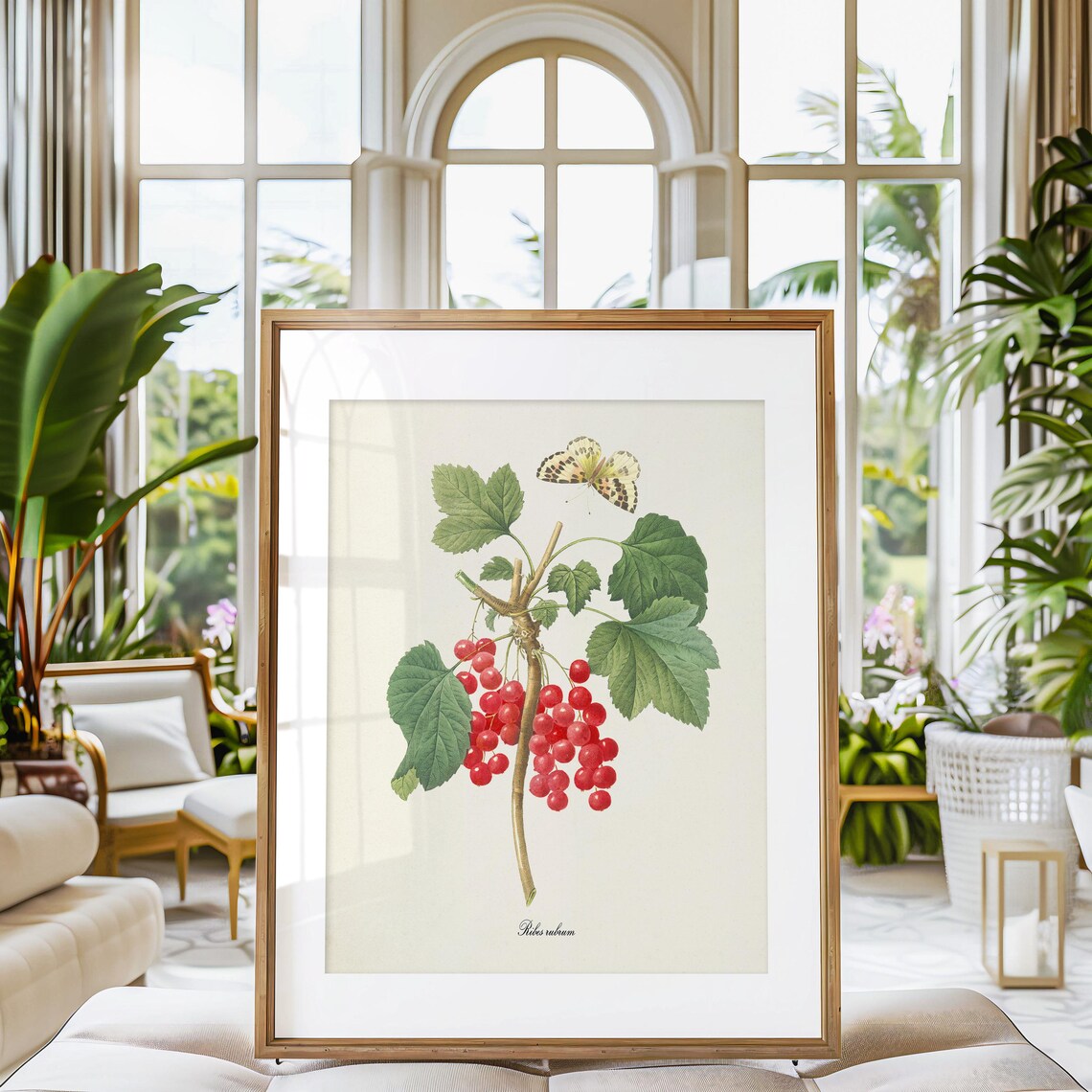 Redcurrant Botanical Print, Redouté Style Art Print - Image 3