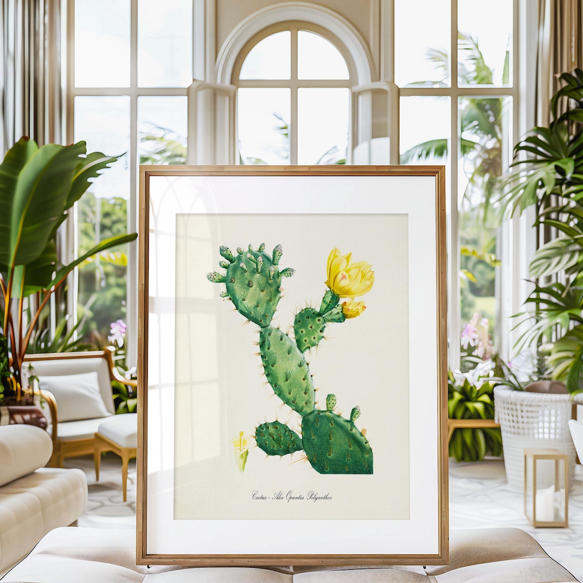 Cactus Botanical Art Print, Aloe Opuntia Polyanthos - Image 3