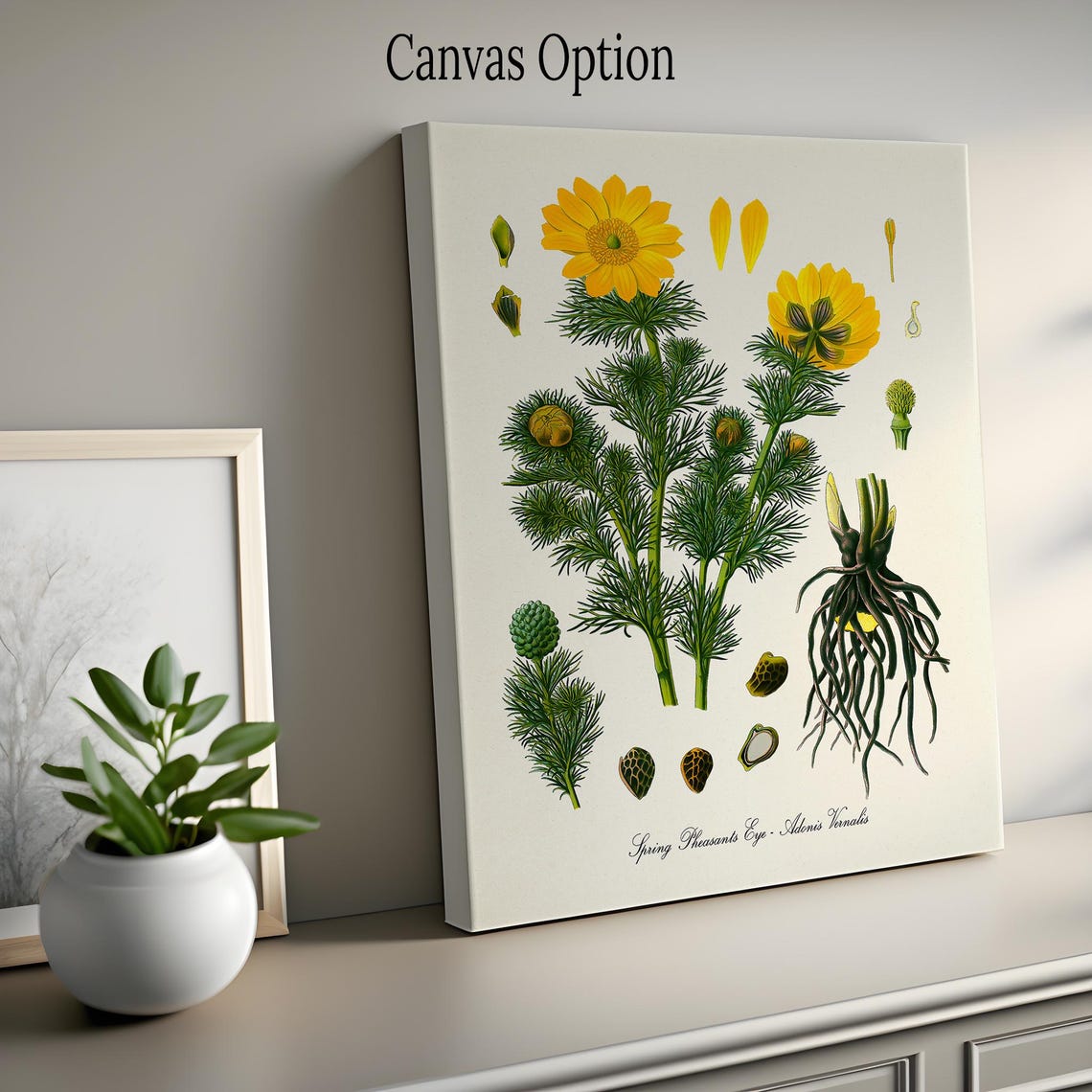 Spring Pheasants Eye Adonis Vernalis Yellow Flower Art Poster - Image 2