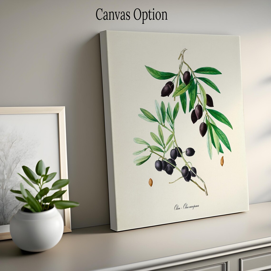 Olive Botanical Art Print, Kitchen Wall Decor - Image 2