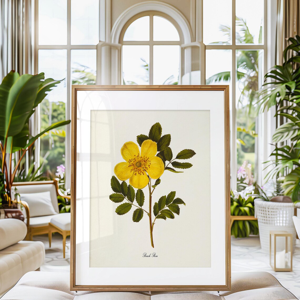 Beach Rose Botanical Art Print, Yellow Rose Poster - Image 3