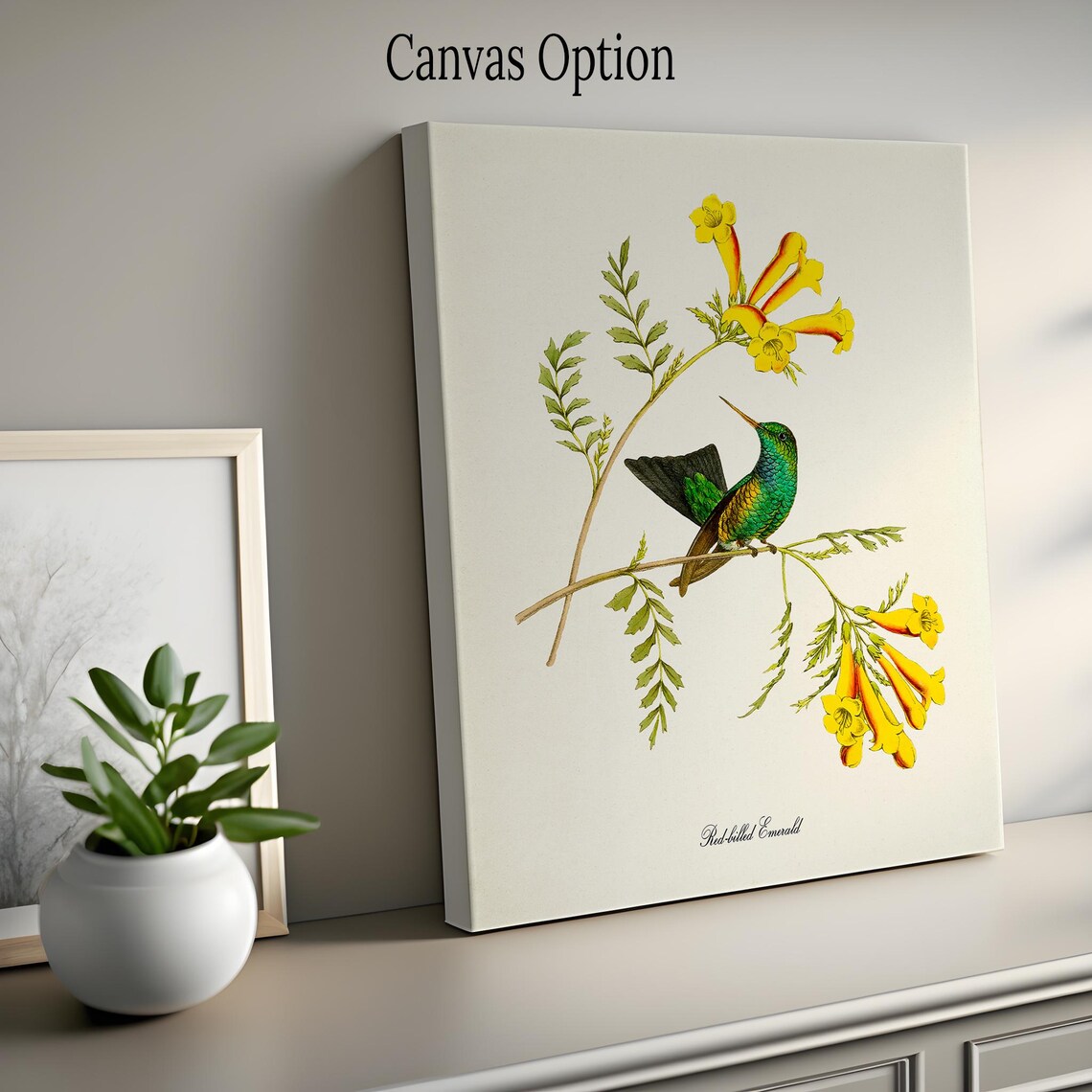 Red Billed Emerald Hummingbird, Floral Garden Art Print - Image 2