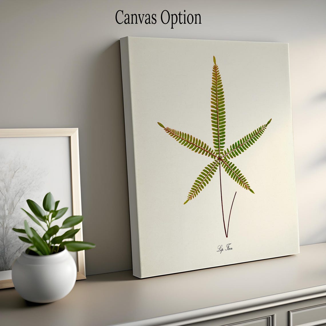 Lip Fern Vintage Botanical Artwork With a Star-Shaped Frond Poster - Image 2