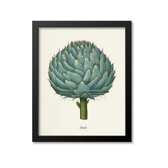 Artichoke Botanical Art Print, Kitchen Wall Art