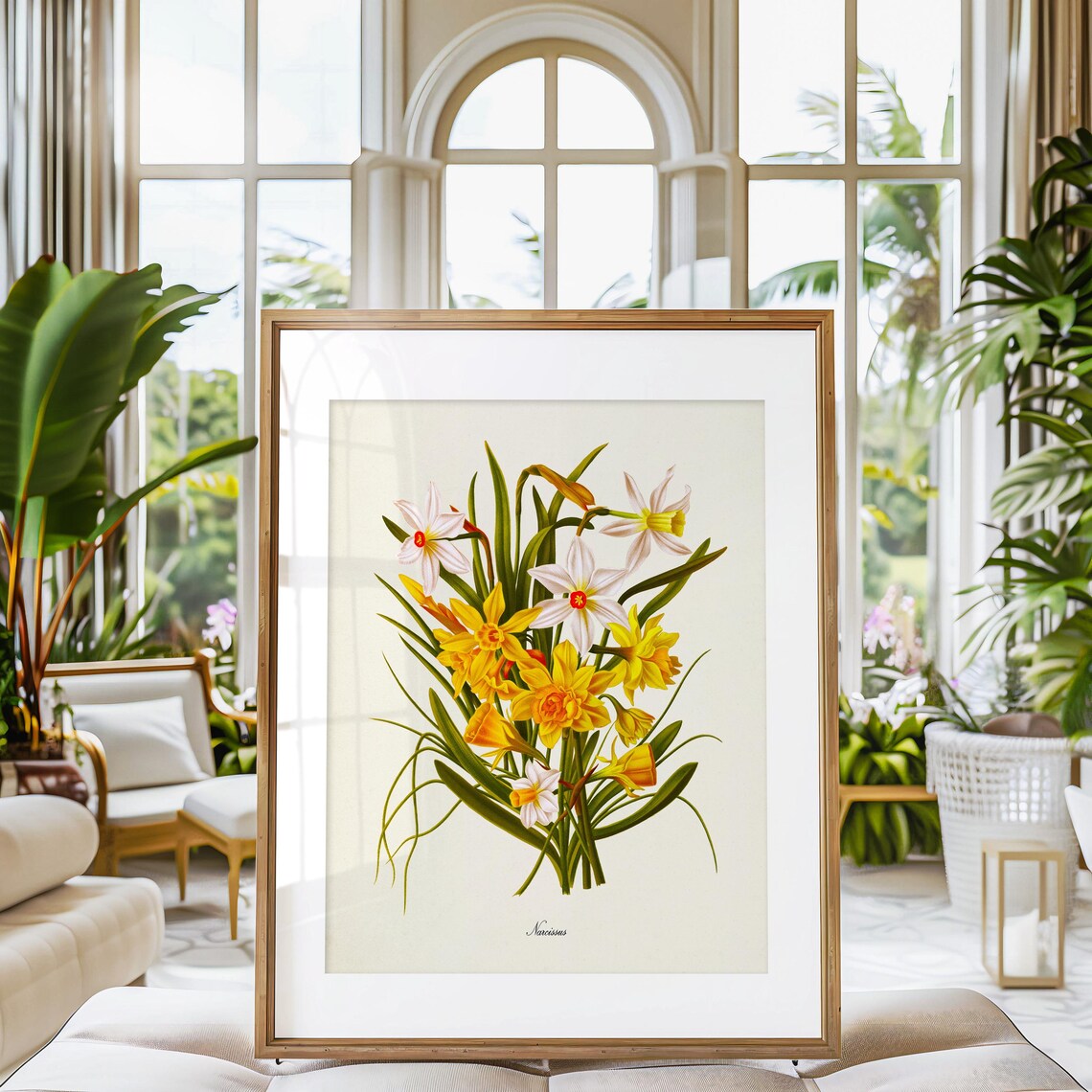 Narcissus Daffodil Botanical Floral Art Print - Image 3