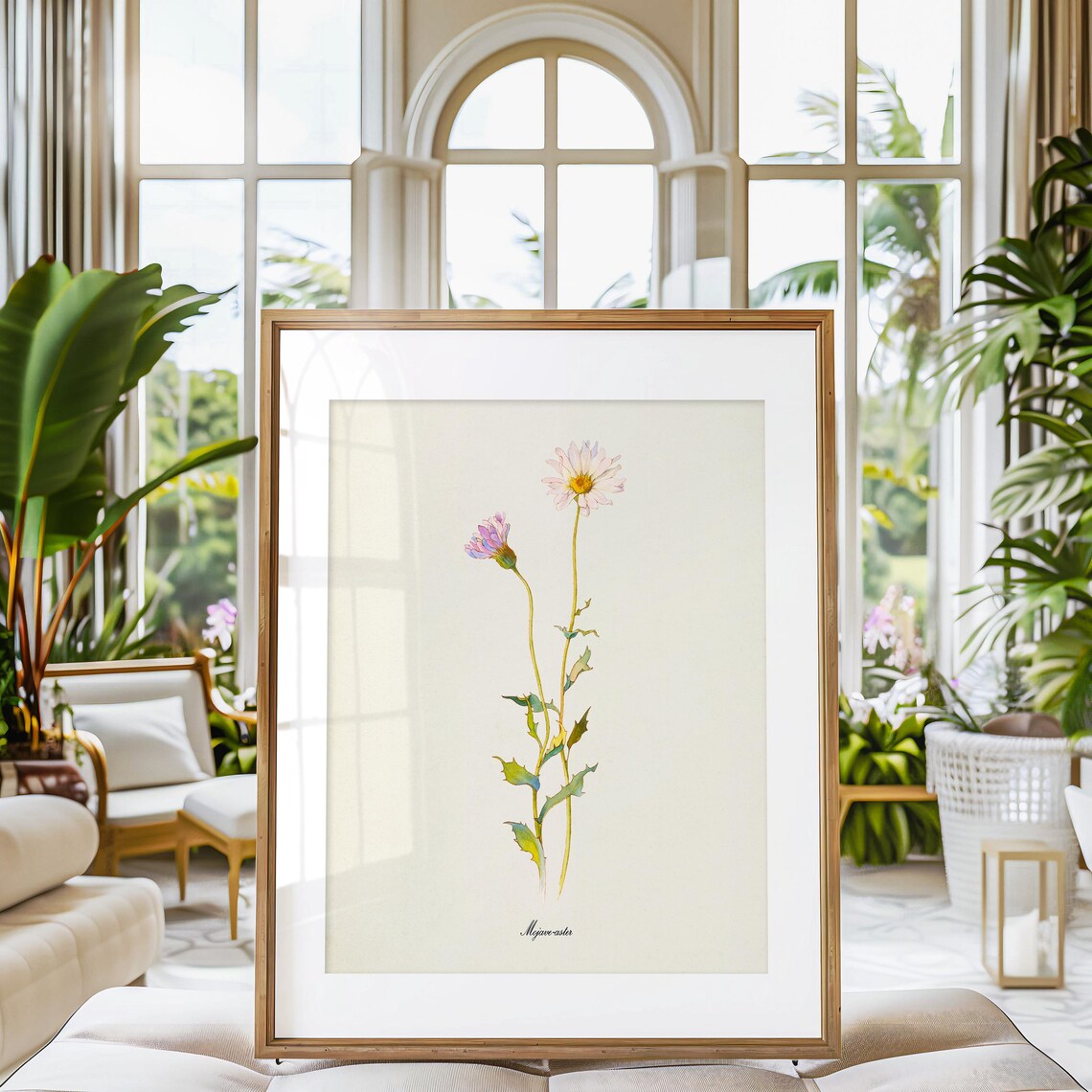 Mojave Aster, Xylorhiza Tortifolia Art Print - Image 3