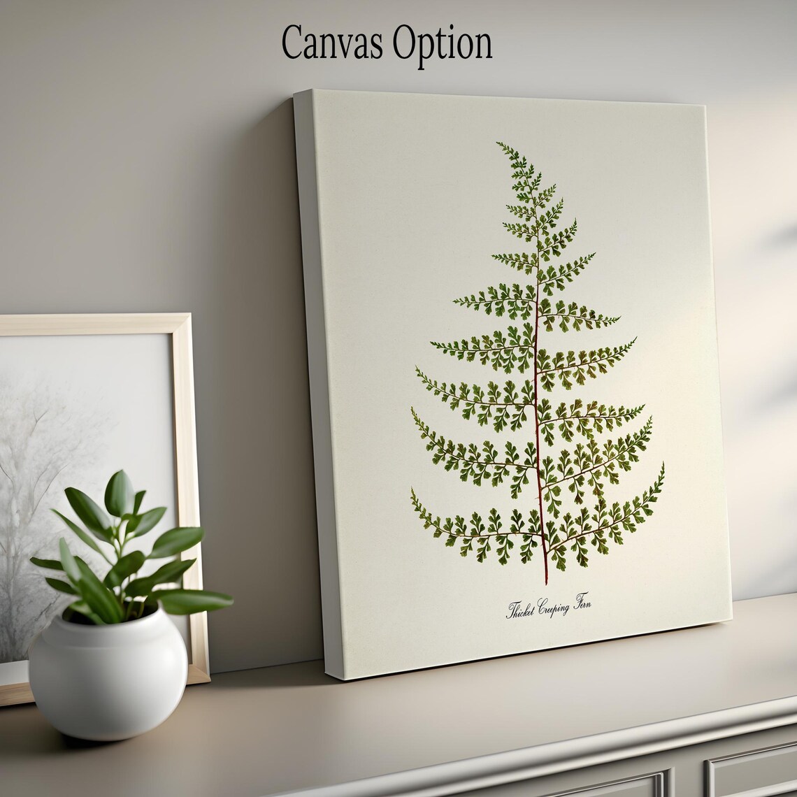 Thicket Creeping Fern Art Print, Botanical Decor - Image 2