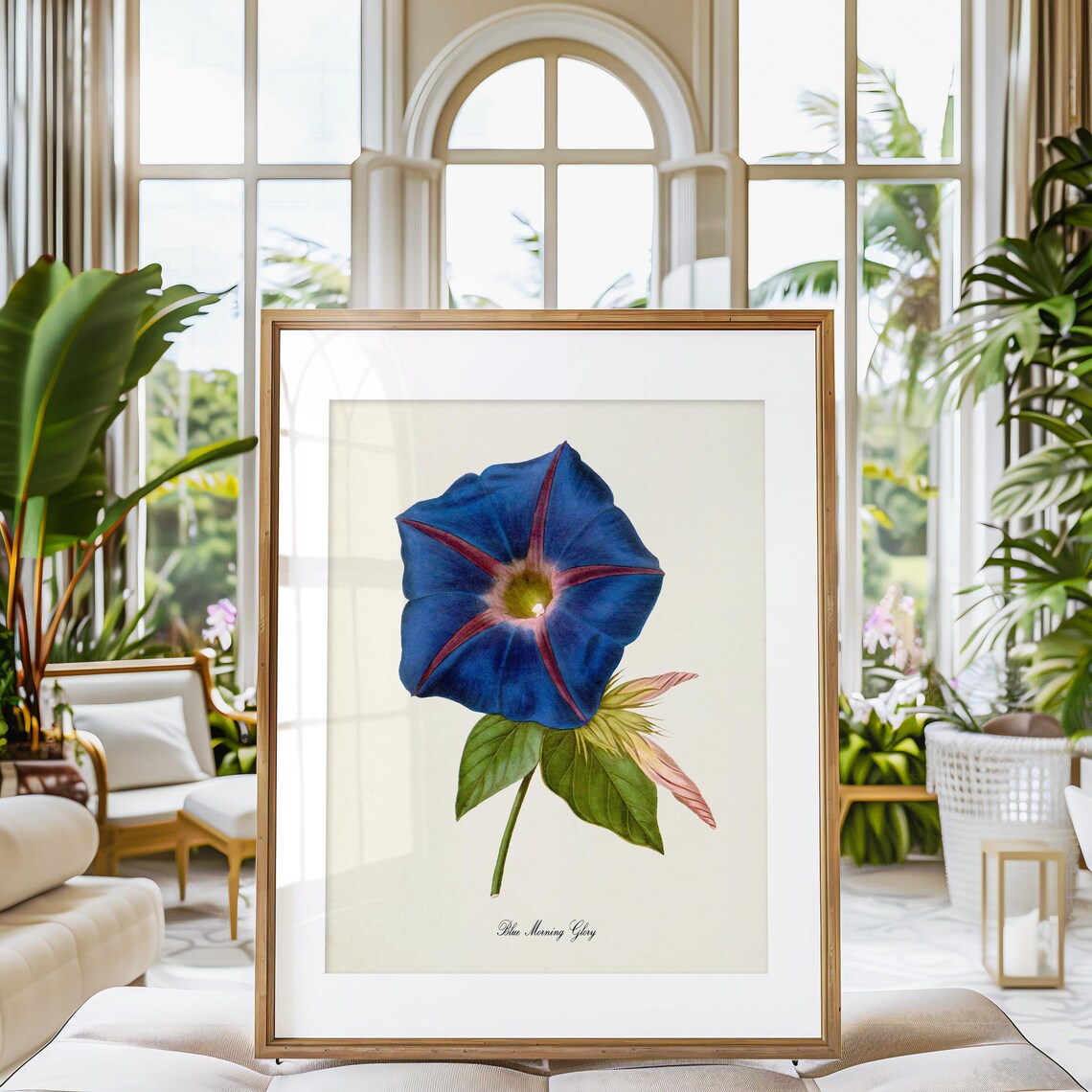 Blue Morning Glory Botanical Floral Art Print - Image 3