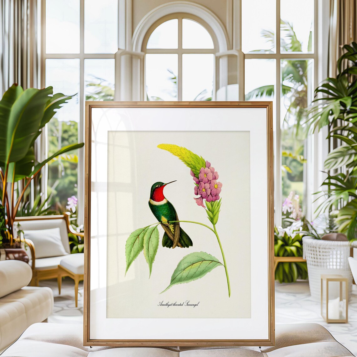 Amethyst Throated Sunangel Hummingbird Art Print - Image 3