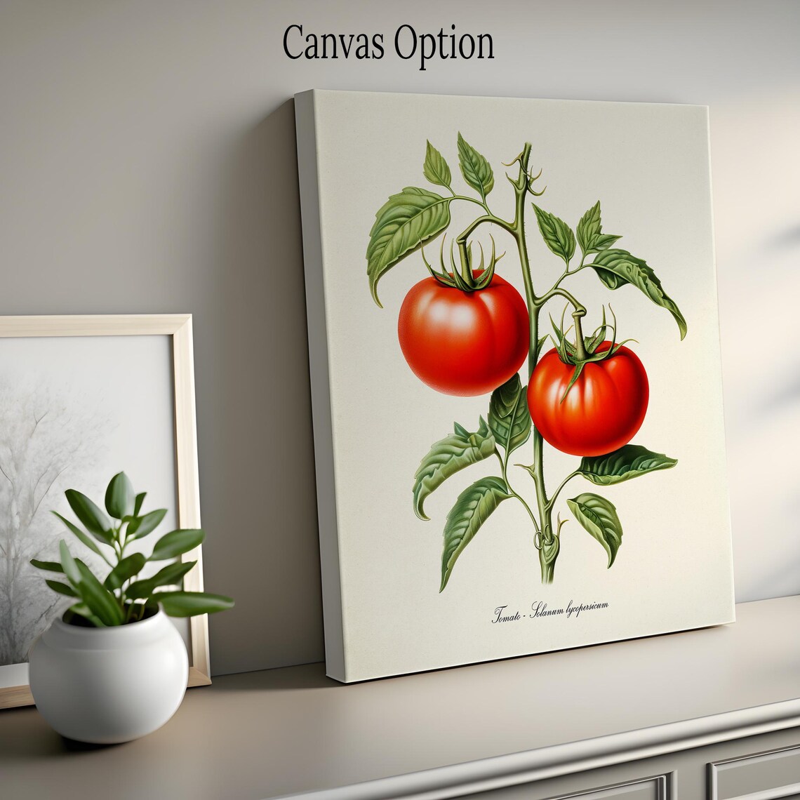 Tomato Botanical Print, Solanum Lycopersicum Art Print - Image 2
