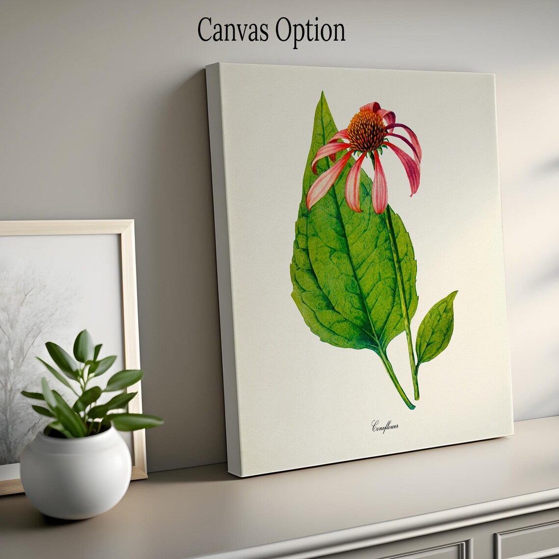 Coneflower Botanical Art Print, Floral Wall Art - Image 2