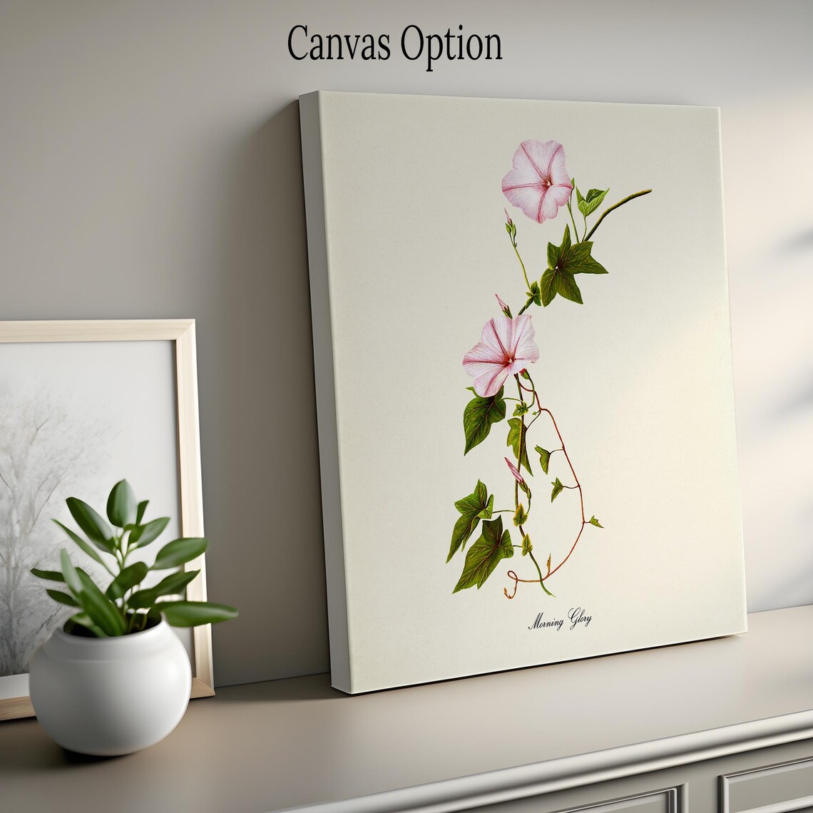 Morning Glory Flower Art Print, Pink Botanical Floral - Image 2