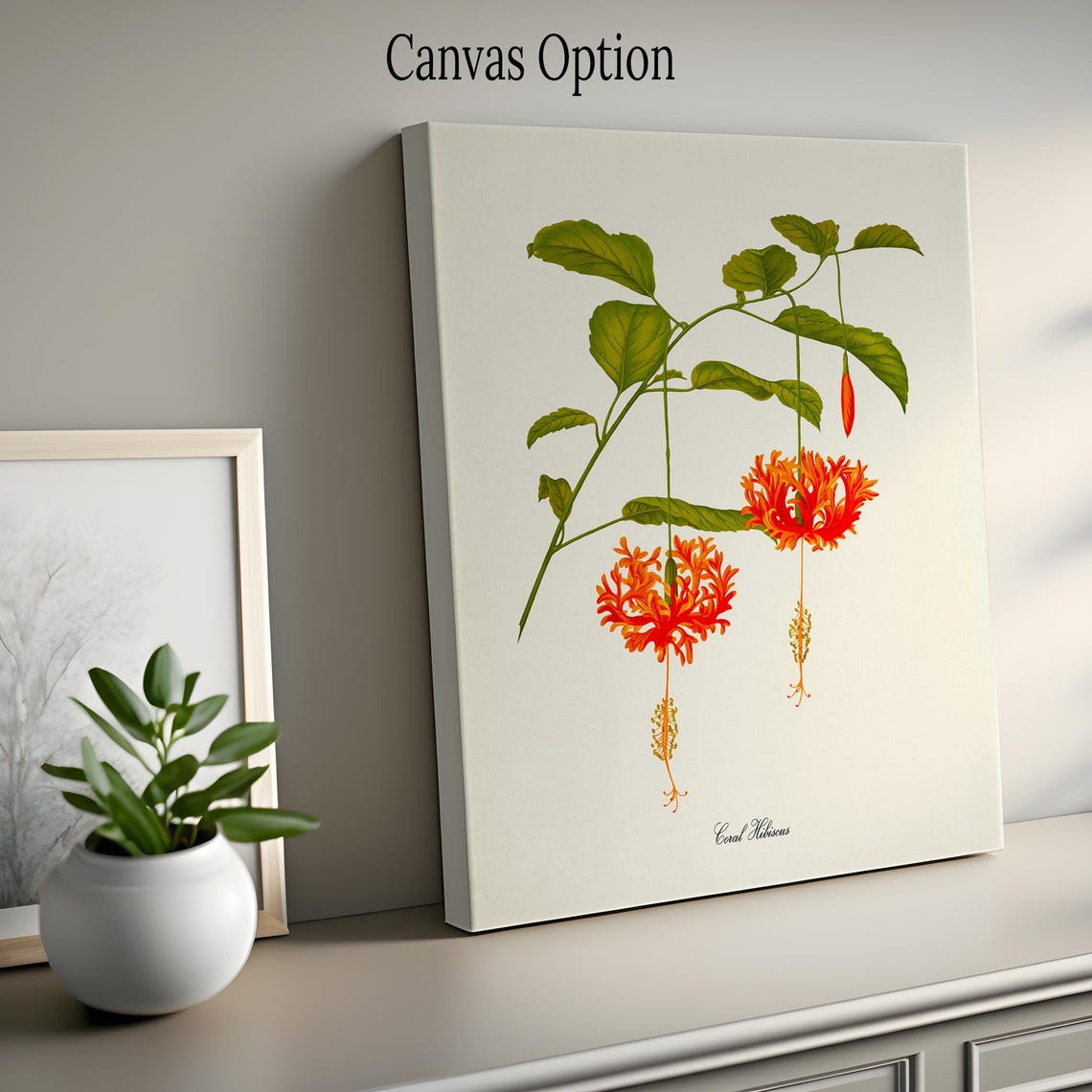 Coral Hibiscus Flower Art Print Botanical Art Print Flower Wall Art Flower Print Floral Print Orange Flower Orange Flower Print - Image 2