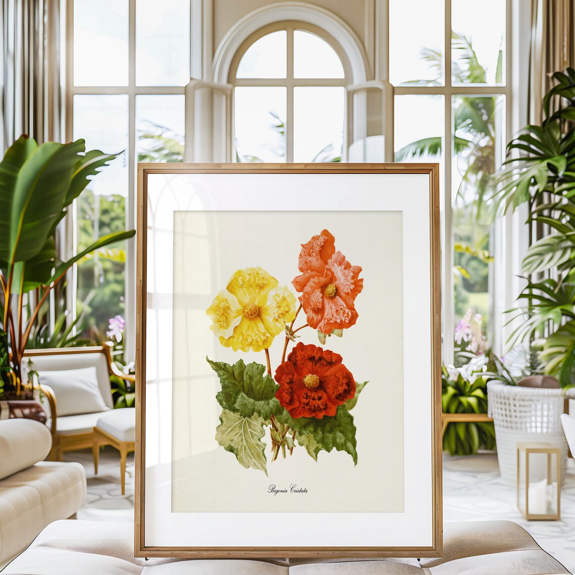 Begonia Cristata Flower Art Print, Botanical Wall Art - Image 3