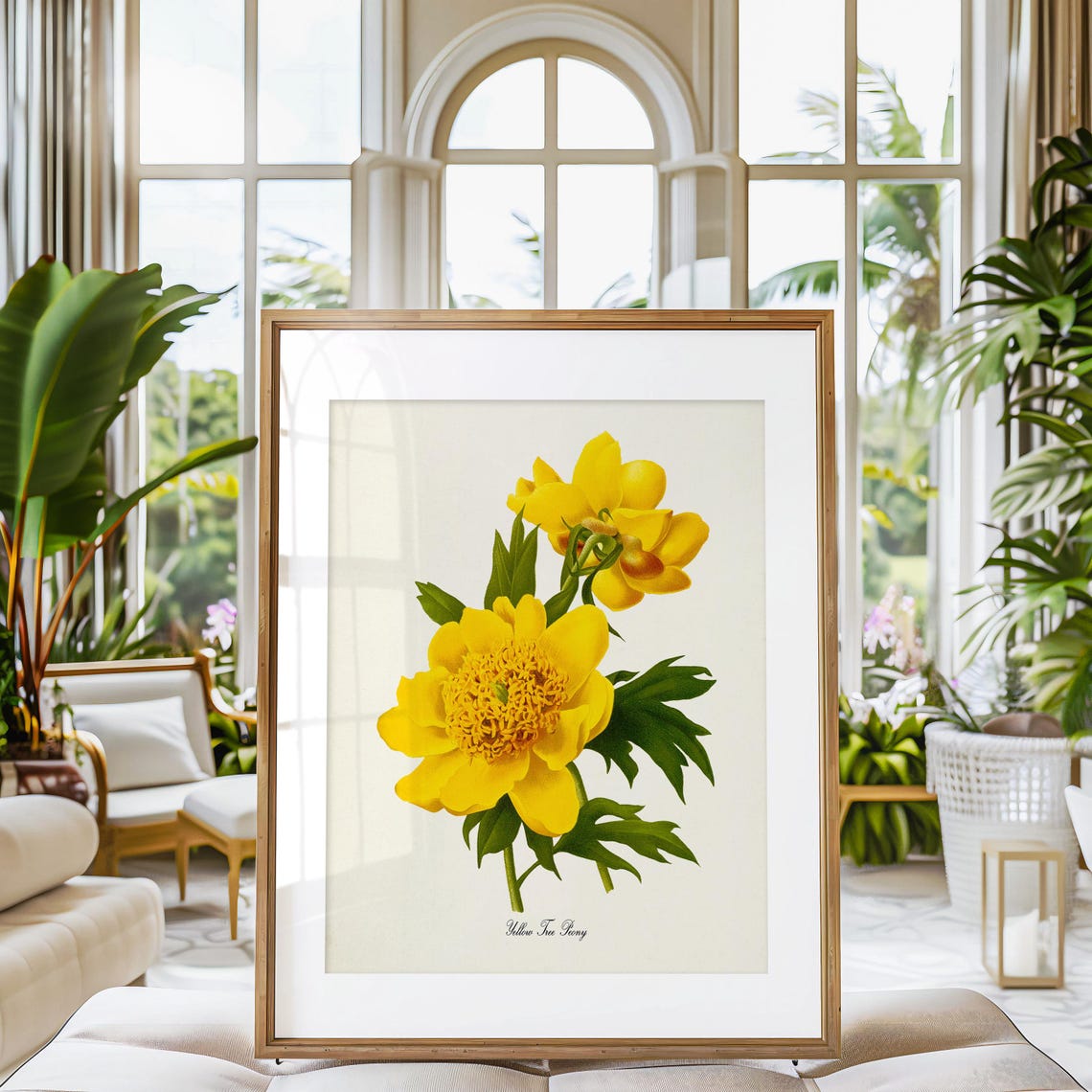Yellow Tree Peony Botanical Art Print - Image 3
