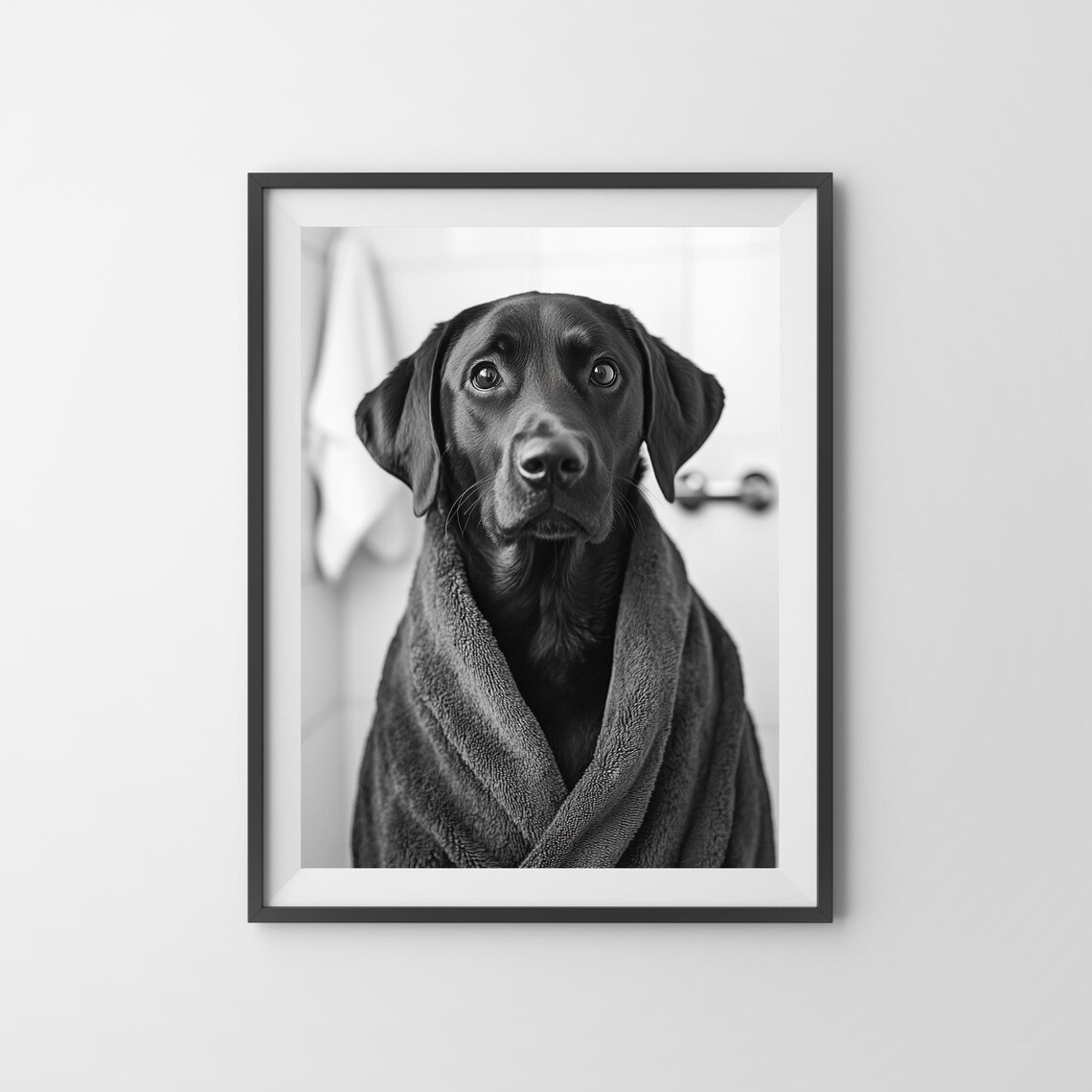Black Labrador Wrapped In Towel After Bath Dog Portrait Poster - Image 3