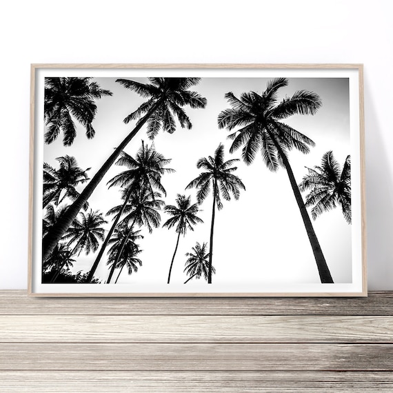 Black and White Palm Tree Art Print, Beach House Decor
