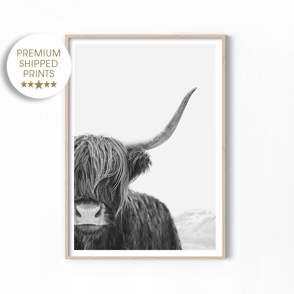 Black and White Highland Cow Photography Poster
