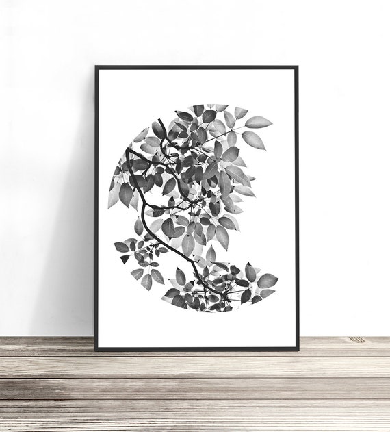 Black And White Leaf Botanical Art Print, Modern