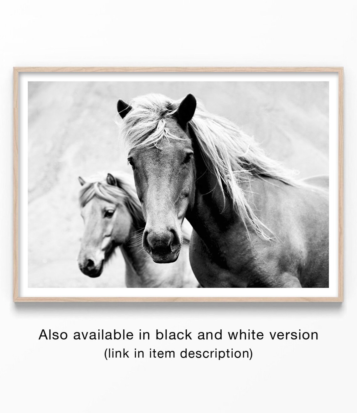 Horse Equine Photography Art Print, Horse Lover Gift - Image 2