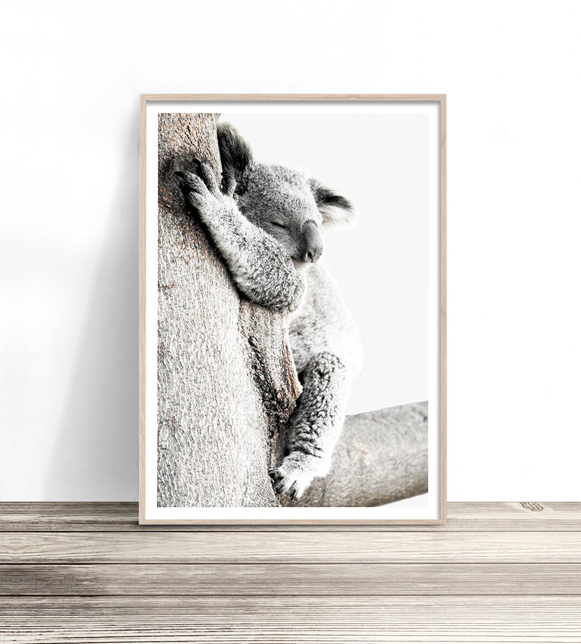 Sleeping Koala Hugging Tree Trunk Australian Wildlife Wall Art Poster