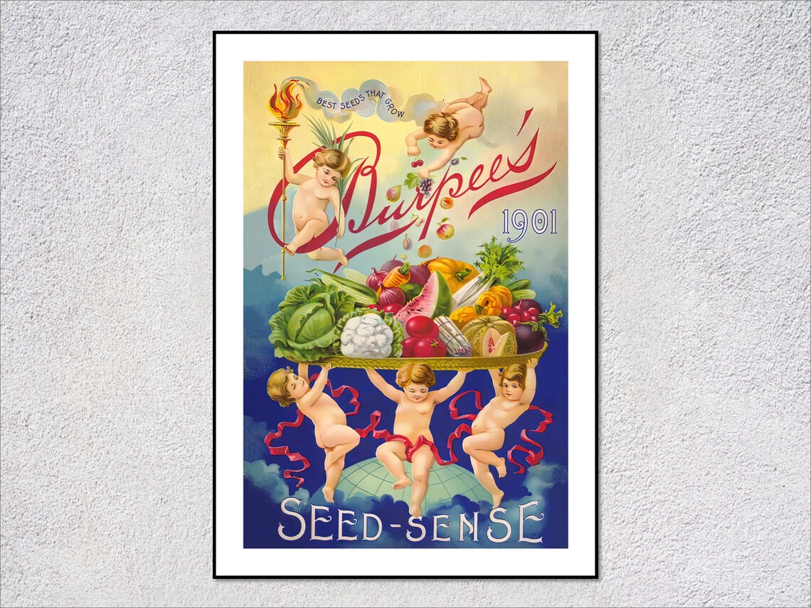 Retro Vegetable And Seed Prints Vintage Kitchen Wall Art Rustic Farmhouse Decor