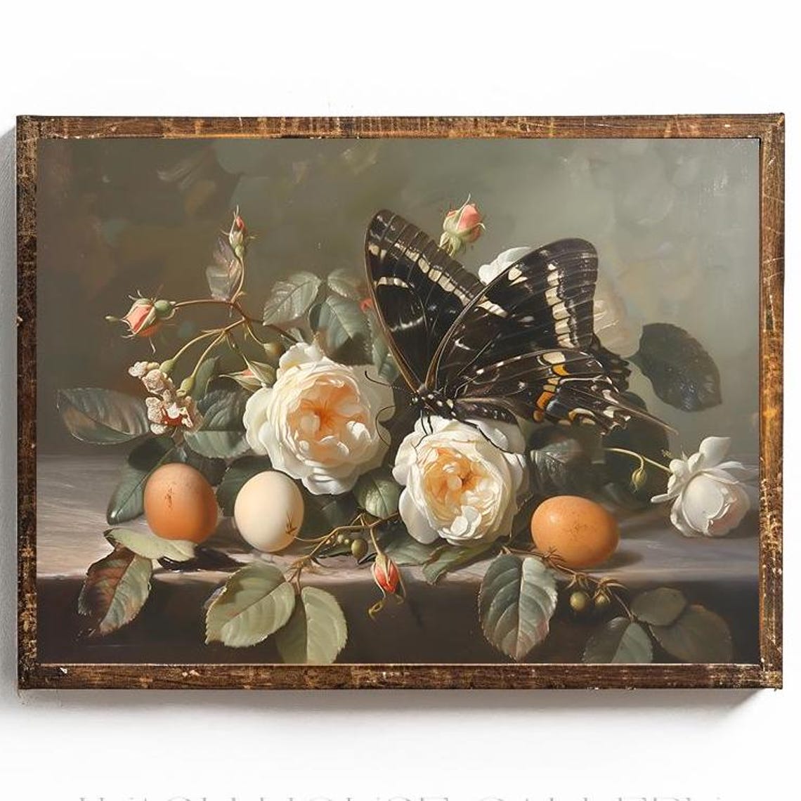Dark Swallowtail Butterfly Resting on White Roses With Eggs Poster