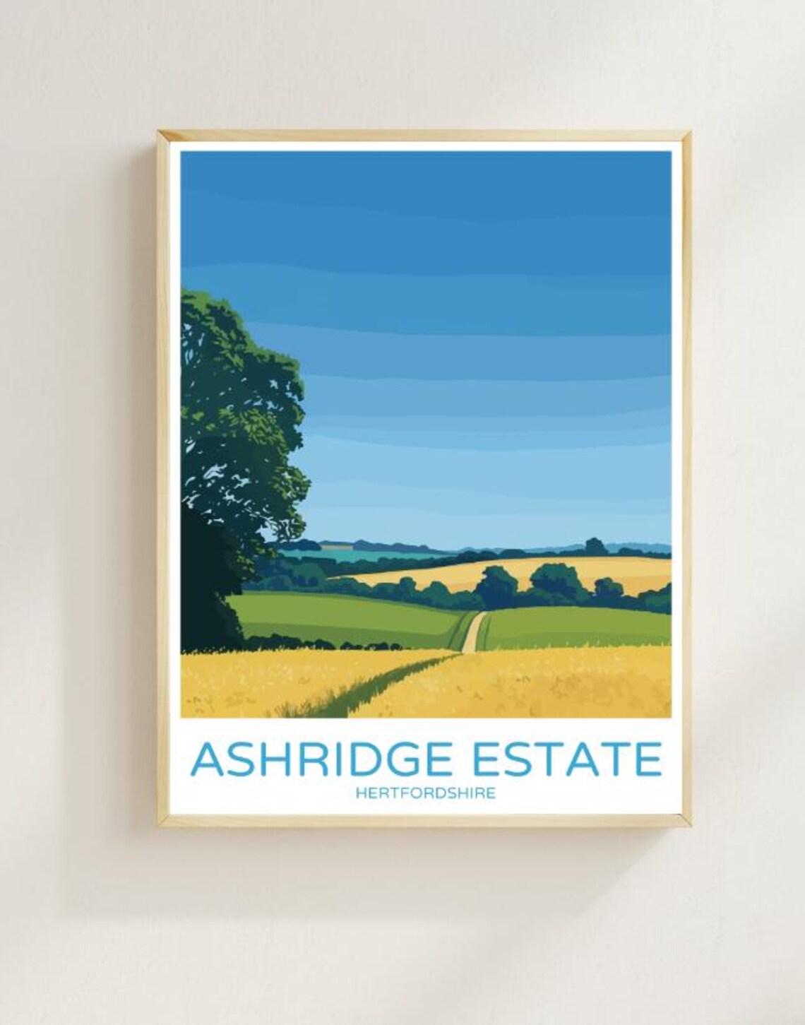 Ashridge Estate Hertfordshire Golden Wheat Fields Colorful Poster